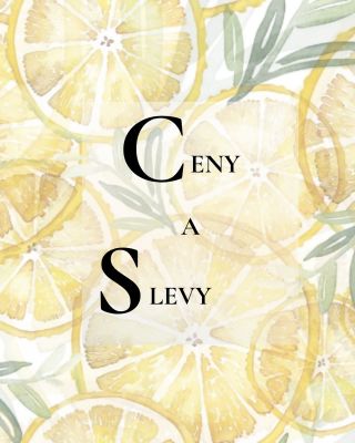 Chcete více útulnosti a jedinečnosti? U nás najdete široký výběr potisků na látku – na polštáře, závěsy, dekorace,...